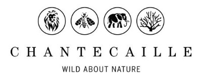 Chantecaille luxury skincare client logo